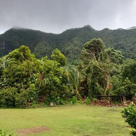 Ravehei Smile Relais 2 Moorea Afareaitu Luaran gambar